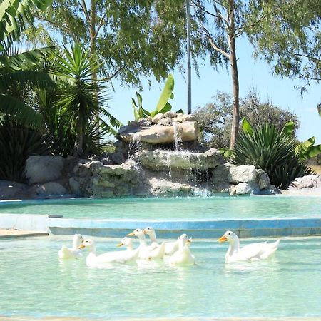 Bambi Lodge Grootfontein Buitenkant foto