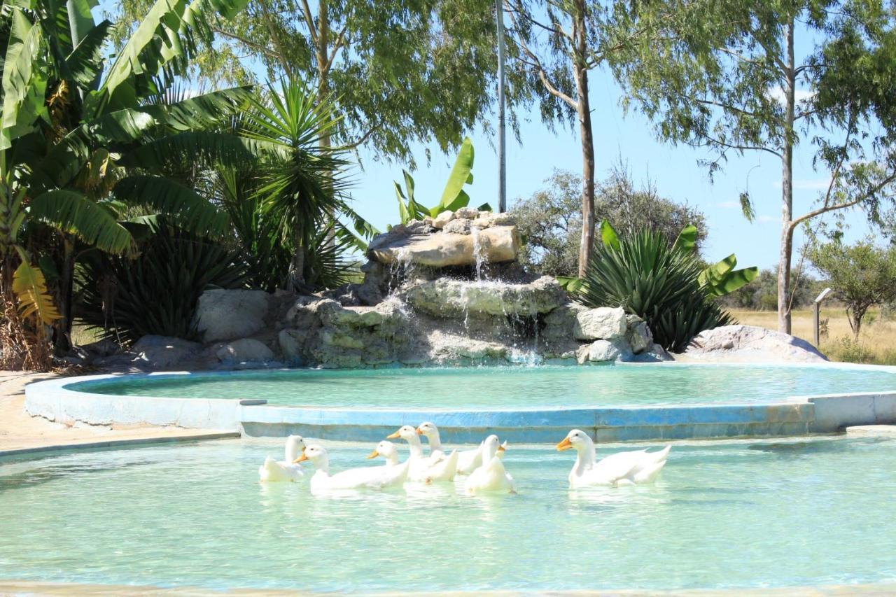 Bambi Lodge Grootfontein Buitenkant foto