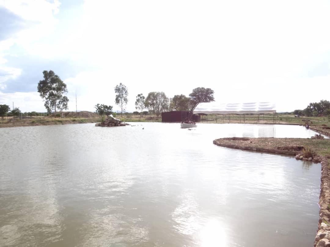 Bambi Lodge Grootfontein Buitenkant foto